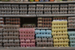 Bird flu latest updates 69 human cases reported in 12 states but officials say public health risk is still low  Yahoo Bird flu latest updates 69 human cases reported in 12 states but officials say public health risk is still low  Yahoo