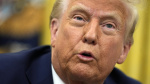 Judge blocks Trumps executive order ending federal support for DEI programs The Associated Press Judge blocks Trumps executive order ending federal support for DEI programs The Associated Press