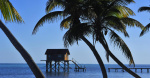 3 American women found dead at beach resort in Belize  CBS News 3 American women found dead at beach resort in Belize  CBS News