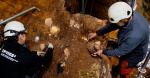 Earliest human face fossil from Western Europe nicknamed Pink discovered in Spanish pit  CBS News