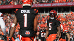 Bengals strike new deals with JaMarr Chase Tee Higgins NBC Sports Bengals strike new deals with JaMarr Chase Tee Higgins NBC Sports