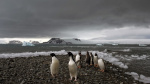 Fear at isolated Antarctica base as a man is accused of attacking a colleague and making threats The Associated Press Fear at isolated Antarctica base as a man is accused of attacking a colleague and making threats The Associated Press