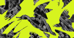 Weve entered a forever war with bird flu The Verge Weve entered a forever war with bird flu The Verge