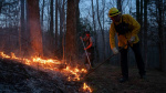 Wildfires in the Carolinas burn more than 6000 acres prompting evacuations a burn ban and National Guard deployment  CNN
