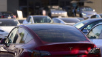 Teslas Americanmade cars wont get hit as hard by the auto tariffs CNN Teslas Americanmade cars wont get hit as hard by the auto tariffs CNN