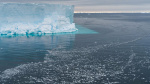 Antarctic iceberg the size of Chicago breaks off reveals thriving undersea ecosystem  ABC7 Los Angeles