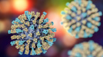 US now has 800 measles cases and outbreaks in several states Heres what you should know  NBC 5 DallasFort Worth US now has 800 measles cases and outbreaks in several states Heres what you should know  NBC 5 DallasFort Worth