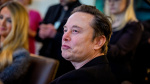 Elon Musk It Is Outrageous to Claim That Im a Nazi  Rolling Stone Elon Musk It Is Outrageous to Claim That Im a Nazi  Rolling Stone