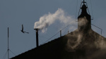 White smoke rises from Vatican as cardinals agree on Pope Francis successor  CNN White smoke rises from Vatican as cardinals agree on Pope Francis successor  CNN