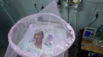 US health officials advise older travelers not to get a chikungunya vaccine AP News US health officials advise older travelers not to get a chikungunya vaccine AP News