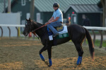 Belmont Stakes 2025 Odds horses prediction complete bettors guide  New York Post Belmont Stakes 2025 Odds horses prediction complete bettors guide  New York Post
