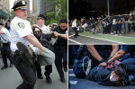 College students agitators and a Hamptons brat among 86 arrested at rowdy NYC antiICE protest  New York Post College students agitators and a Hamptons brat among 86 arrested at rowdy NYC antiICE protest  New York Post
