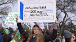 The number of abortions kept rising in 2024 because of telehealth prescriptions report finds AP News The number of abortions kept rising in 2024 because of telehealth prescriptions report finds AP News