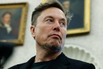 Shut up Elon Musk tells Tesla bull Dan Ives  Seeking Alpha