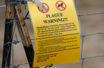 Northern Arizona resident dies from plague  OregonLivecom
