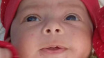 Fivemonthold baby dies in mothers arms in Gaza a new victim of escalating starvation crisis  CNN Fivemonthold baby dies in mothers arms in Gaza a new victim of escalating starvation crisis  CNN