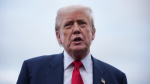 Grow Up Conservative Senators Economists Slam Trump for Firing Labor Stats Chief  Rolling Stone Grow Up Conservative Senators Economists Slam Trump for Firing Labor Stats Chief  Rolling Stone