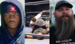 Rampage Jacksons Son Raja Turns Wrestling Match Into Real Life Assault Beats Veteran Unconscious On Livestream  yahoocom