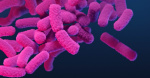 CDC Nightmare bacteria cases increasing in the US  WHIOTV CDC Nightmare bacteria cases increasing in the US  WHIOTV