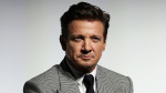 Jeremy Renner Denies Harassment Allegations From Film Director Totally Inaccurate and Untrue  Variety