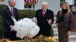 Trump pardons Thanksgiving turkeys blasts Biden and says Ukraine peace deal is very close  CNBC