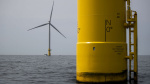 Trump halts wind projects including Coastal Virginia Offshore Wind Dominion stock drops 4  CNBC