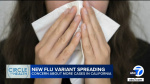 New flu variant hits Southern California raises concerns among public health experts  ABC7 Los Angeles
