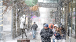 Winter storm brings blizzard conditions and dangerous wind chills to US Upper Midwest  AP News