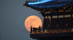 In Photos See 2026s First Full Supermoon Rise Around The World  Forbes