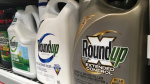 Supreme Court will hear appeal by maker of popular Roundup weedkiller to block thousands of lawsuits  AP News