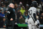 Yankees execute perfect and aggressive ABS challenge night and let the ump hear about it  New York Post
