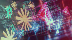 Crypto Firms Seek Access to Anthropics Mythos While Shoring Up Defenses  The Information