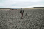 Record US drought sparks worries about fires water supply and food prices  AP News
