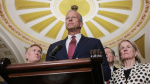 Senate GOP unveils 70B immigration plan to circumvent Democrats in bid to end DHS shutdown  CNN