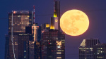 In Photos Full Flower Moon Lights Up Night Sky Around The World  Forbes