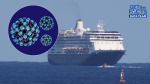 Cruise ship outbreaks hit 23 in 2025 with norovirus the most common virus  WLWT
