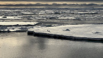 A triple whammy of chaos has triggered a downward spiral in Antarctica scientists discover  Yahoo