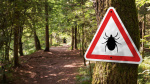 Why this tick season could be the worst in a decade  USA Today