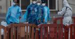 Were asking the wrong question about the hantavirus outbreak  voxcom
