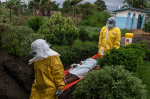 US bans greencard holders from returning from Ebolastricken countries  The Washington Post