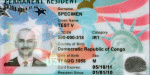 What smart people are saying about the new green card crackdown  Business Insider