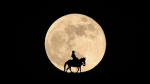 Dont Miss Mays Blue Moon Rise Tonight  Exact Times For Saturday  Forbes