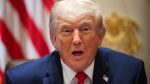 Donald Trump Offers to Perform at Freedom 250 Concert Himself Only Great Patriots Invited  Rolling Stone