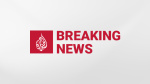 Tsunami warnings issued after 82 magnitude earthquake off Philippines  Al Jazeera