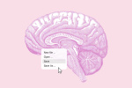 The midlife habits that could make or break your brain health longterm  The Washington Post
