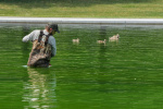 Reflecting Pool Appears Green After Trump Renovation Photos  Forbes