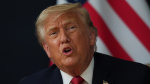 Senate GOP frustrations grow as Trump blocks Republican victories  The Hill