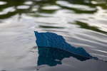 The blue paint is peeling off the Reflecting Pool  The Washington Post