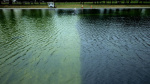 Trump claims Reflecting Pool was vandalized and says law enforcement is investigating  CNN