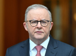Australia pledges action on H5N1 after bird flu case confirmed  Al Jazeera